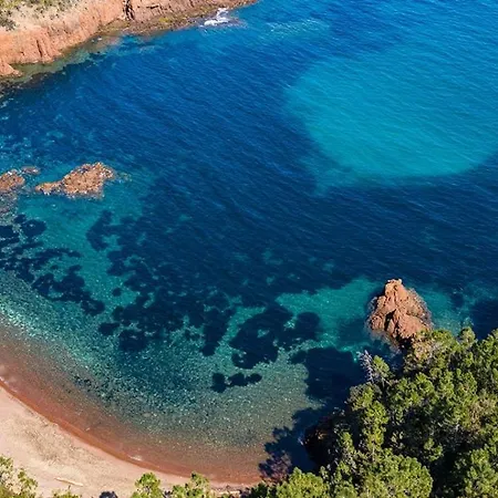A La Devino Frejus