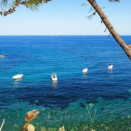 Апартаменты A La Devino Фрежюс