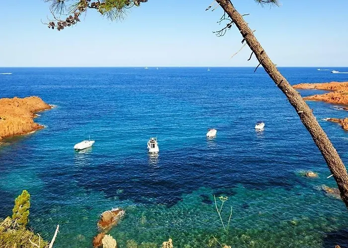 公寓 A La Devino Fréjus