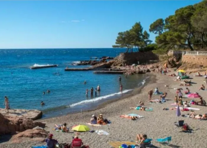 A La Devino 公寓 Fréjus