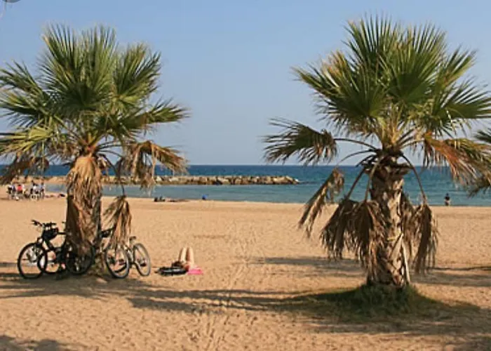 A La Devino 公寓 Fréjus